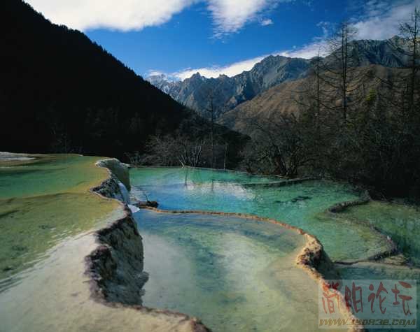 050[1].jpg